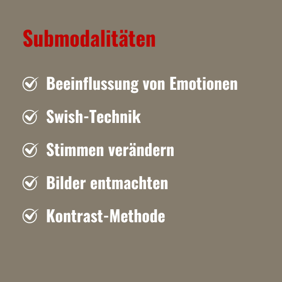 Submodalitäten Text