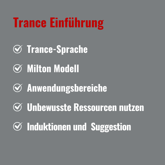 Trance Einführung Text