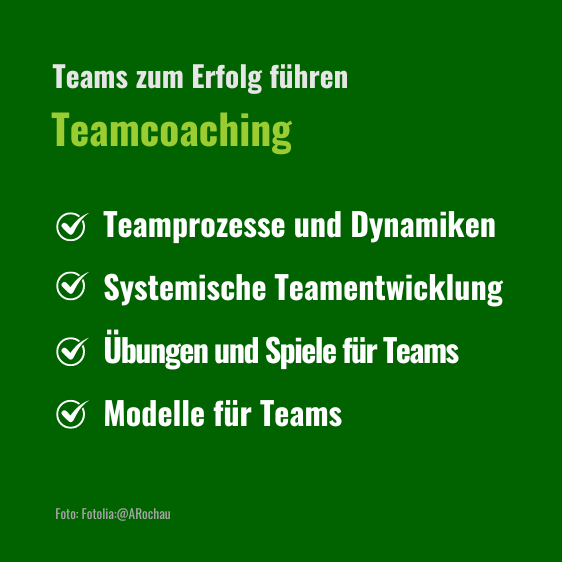 Team-Coach Modul Text